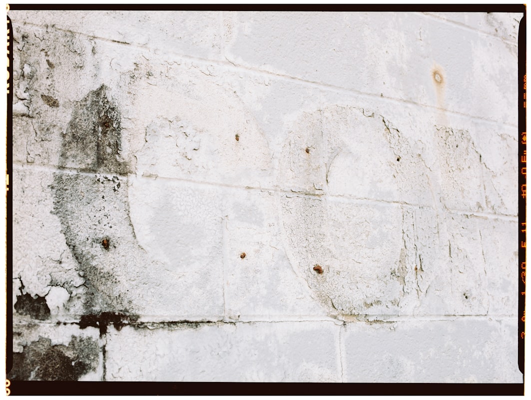 Water Extraction service in Pasadena, TX