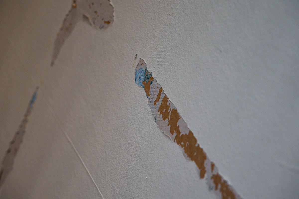 Structural Drying service in Pasadena, TX